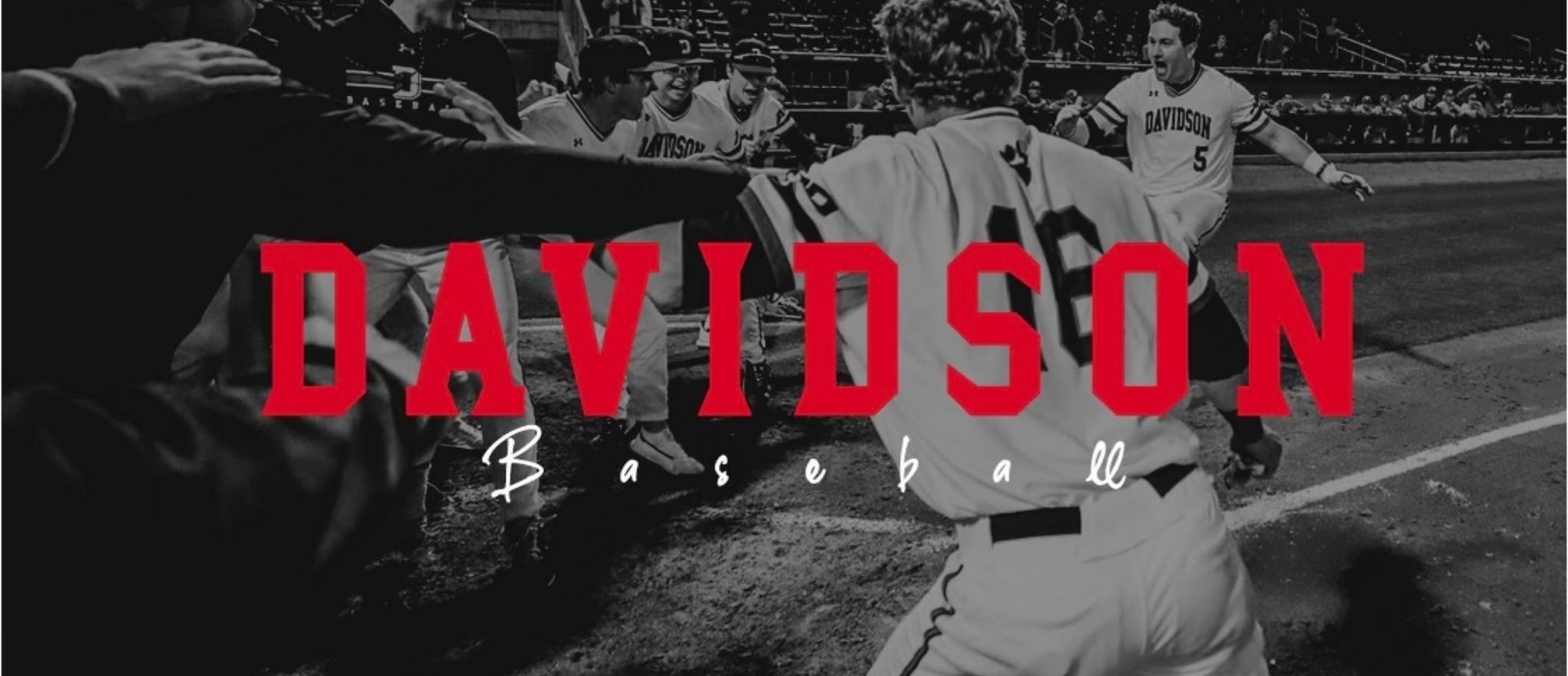 Davidson Baseball Camps