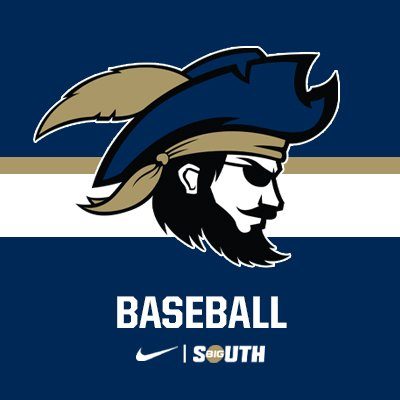 Charleston Southern Baseball Logo