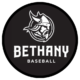 Bethany College Baseball Camps