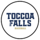 Toccoa Falls Baseball