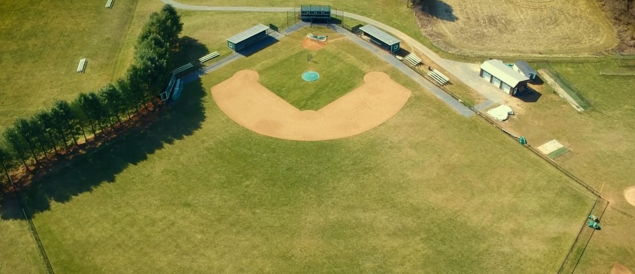 Stevenson University Baseball Camps