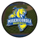 Misericordia University Baseball