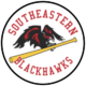 Southeastern BlackHawks Baseball Camps