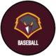 University of Charleston (WV) Baseball Camps