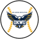 Oklahoma Wesleyan University baseball camps