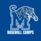 Memphis Baseball Camps