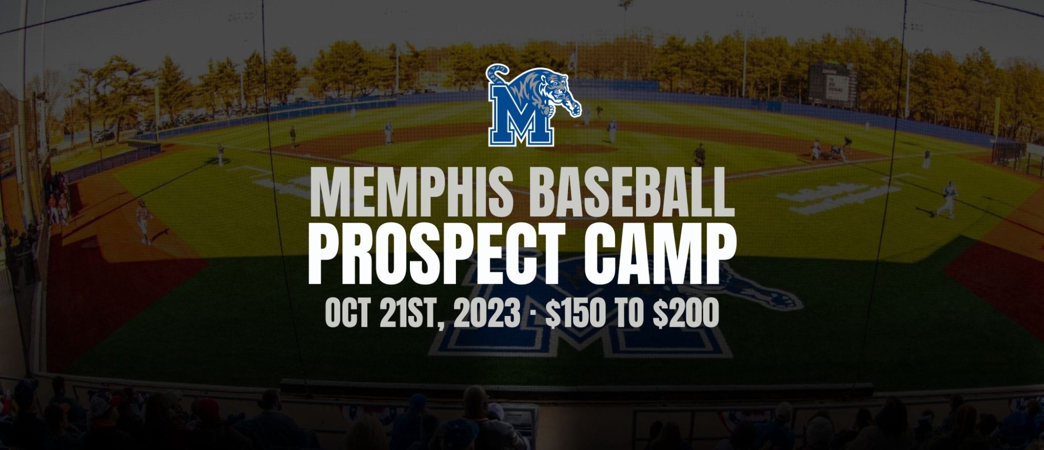 Memphis Baseball Camp