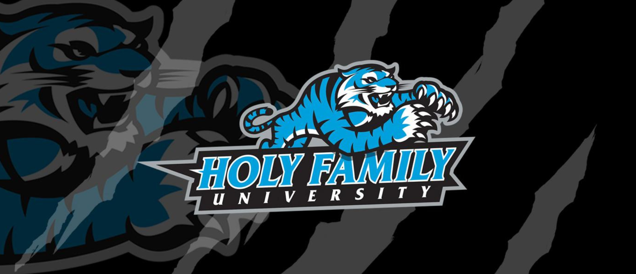 Holy Family University Baseball